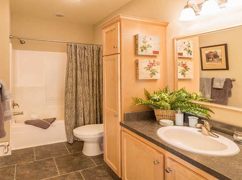 Bathroom Cabinets & Remodeling